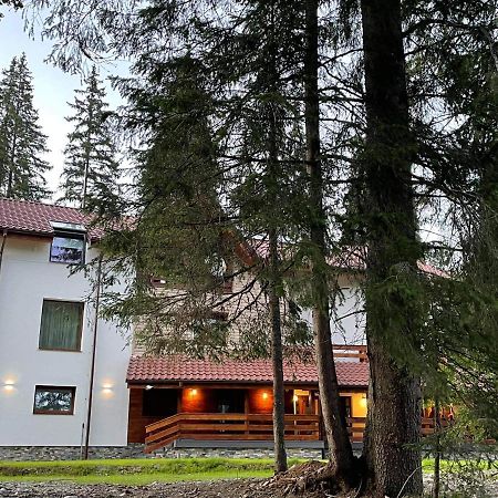 Sidharta Resort Obarsia-Lotrului Ngoại thất bức ảnh