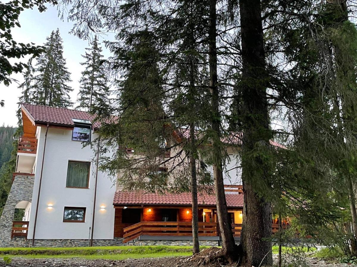 Sidharta Resort Obarsia-Lotrului Ngoại thất bức ảnh